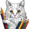 Logo Drawing of Cat with Colored Pencils